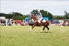 UKPA NC SAT_2622